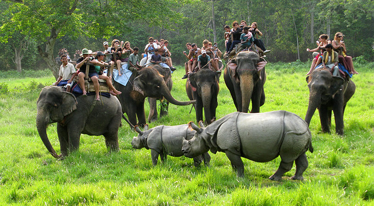 Chitwan – Things To Do And Places To Visit